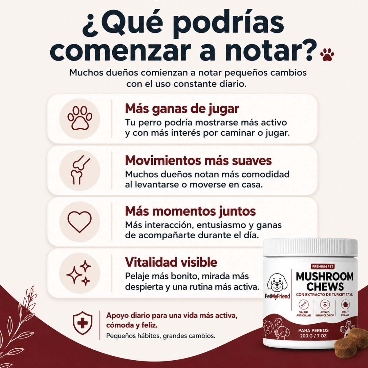 VITAPET™ - Apoyo diario para movilidad y bienestar.