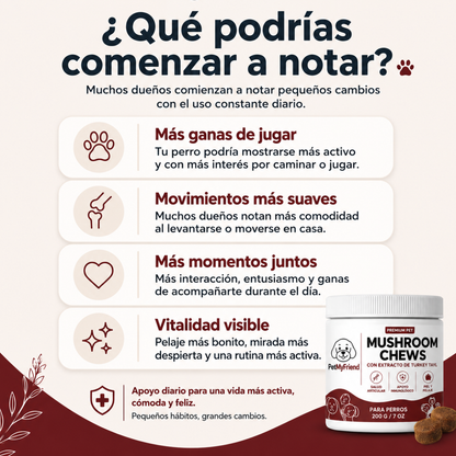 VITAPET™ - Apoyo diario para movilidad y bienestar.
