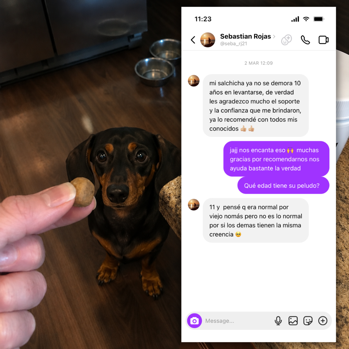 VITAPET™ - Apoyo diario para movilidad y bienestar.